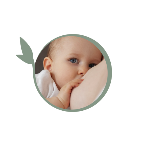 Soutien à l'allaitement